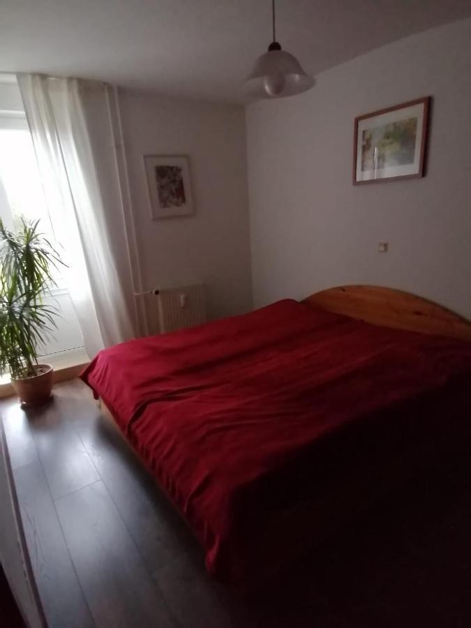Gruene Stadtwohnung Saarbrücken Zewnętrze zdjęcie